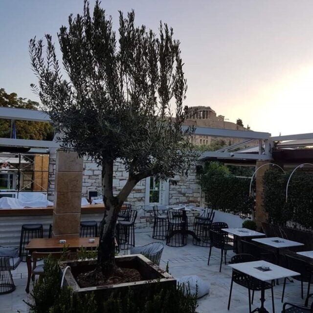 DIONISOS ZONAR S RESTAURANT