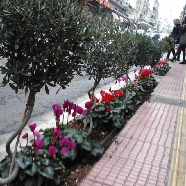 MUNICIPALITY OF VOLOS